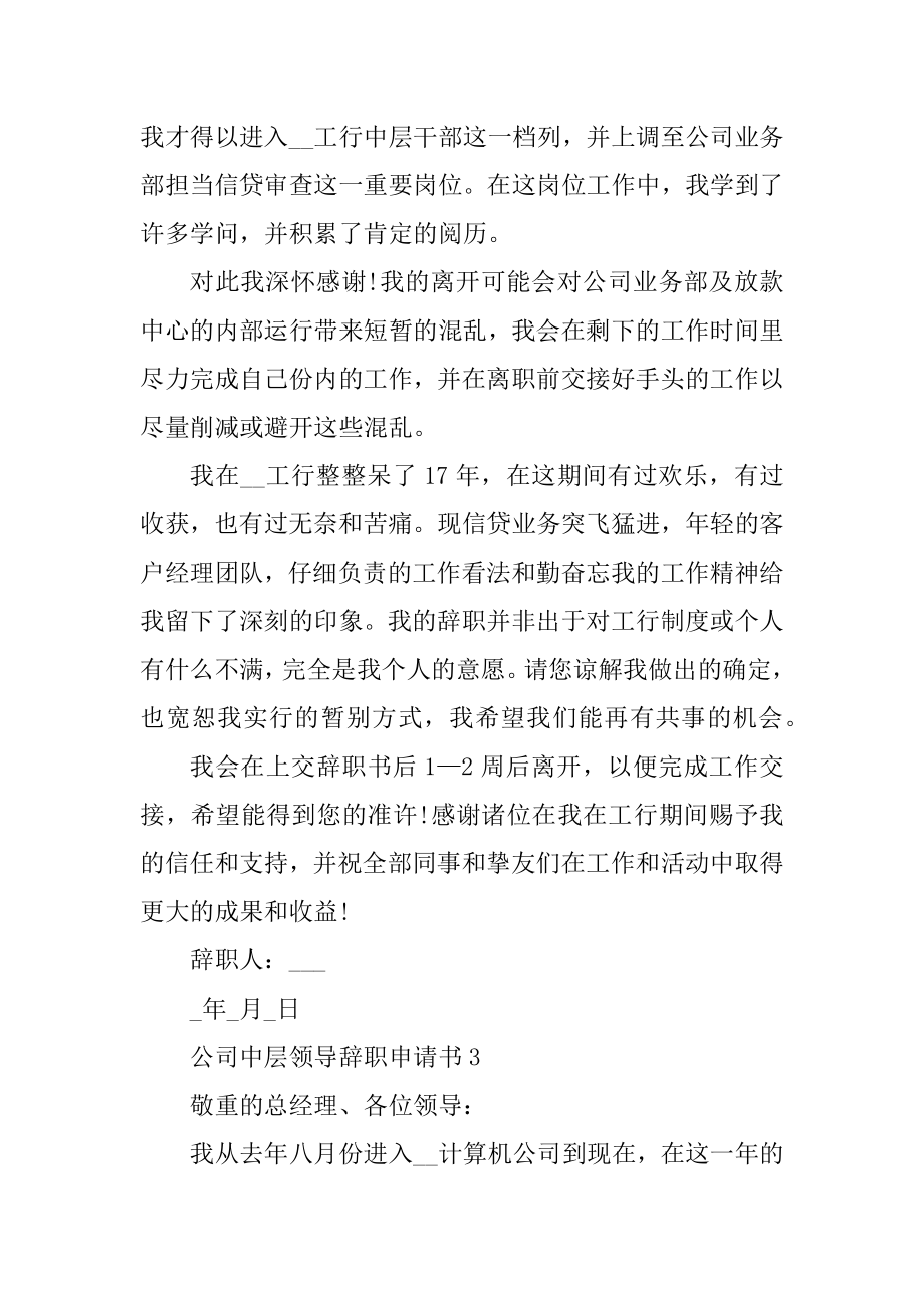 公司中层领导辞职申请书优质.docx_第2页