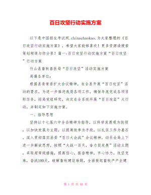 百日攻坚行动实施方案.doc