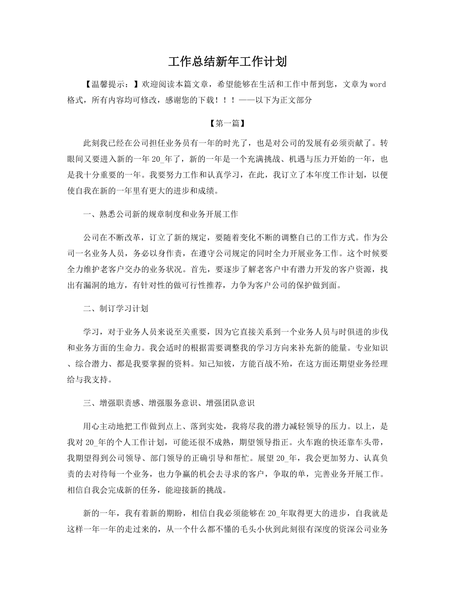 工作总结新年工作计划精选.docx_第1页