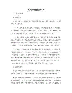 优质黄鸡的科学饲养.docx