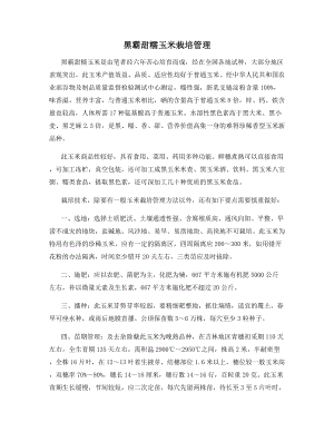 黑霸甜糯玉米栽培管理.docx