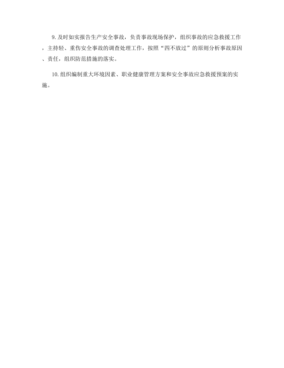 项目经理安全环保职责.docx_第2页