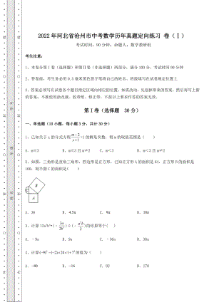 模拟真题2022年河北省沧州市中考数学历年真题定向练习-卷(Ⅰ)(含答案解析).docx