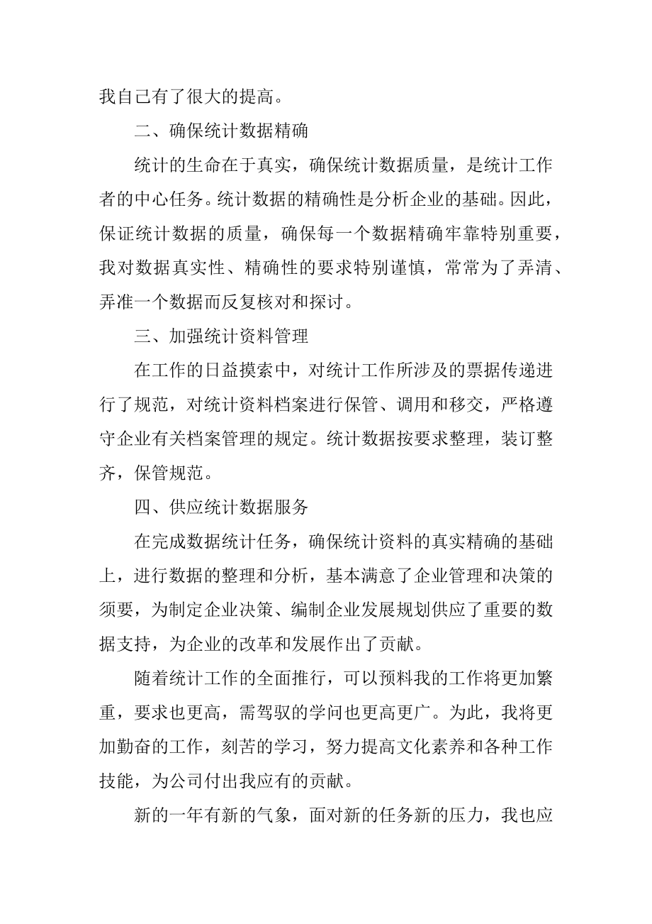 2022年企业统计员个人工作总结精编.docx_第2页