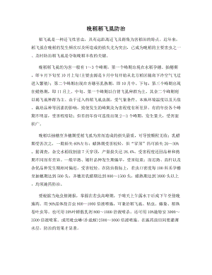 晚稻稻飞虱防治.docx