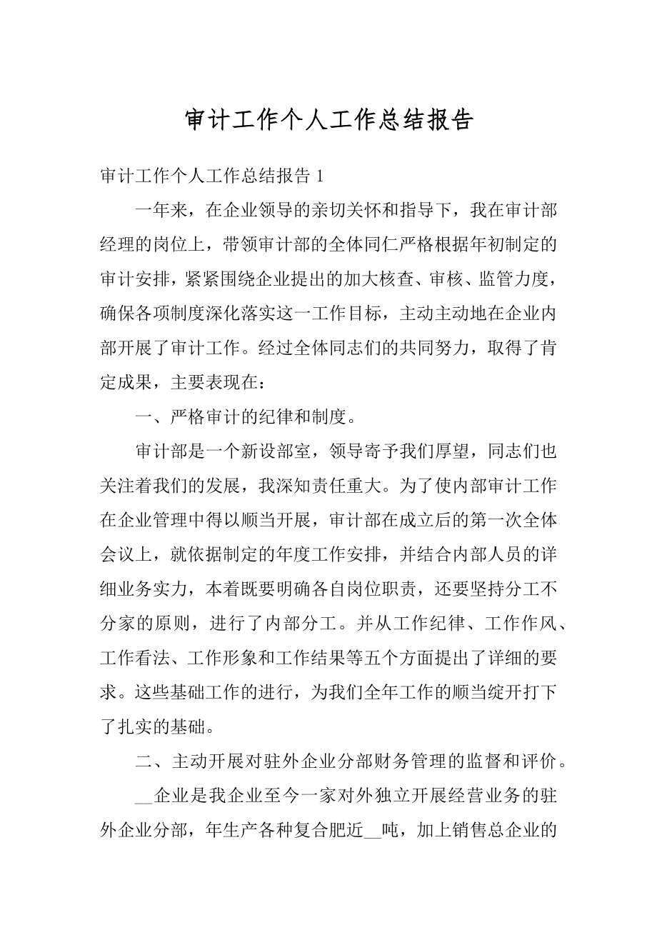 审计工作个人工作总结报告优质.docx_第1页