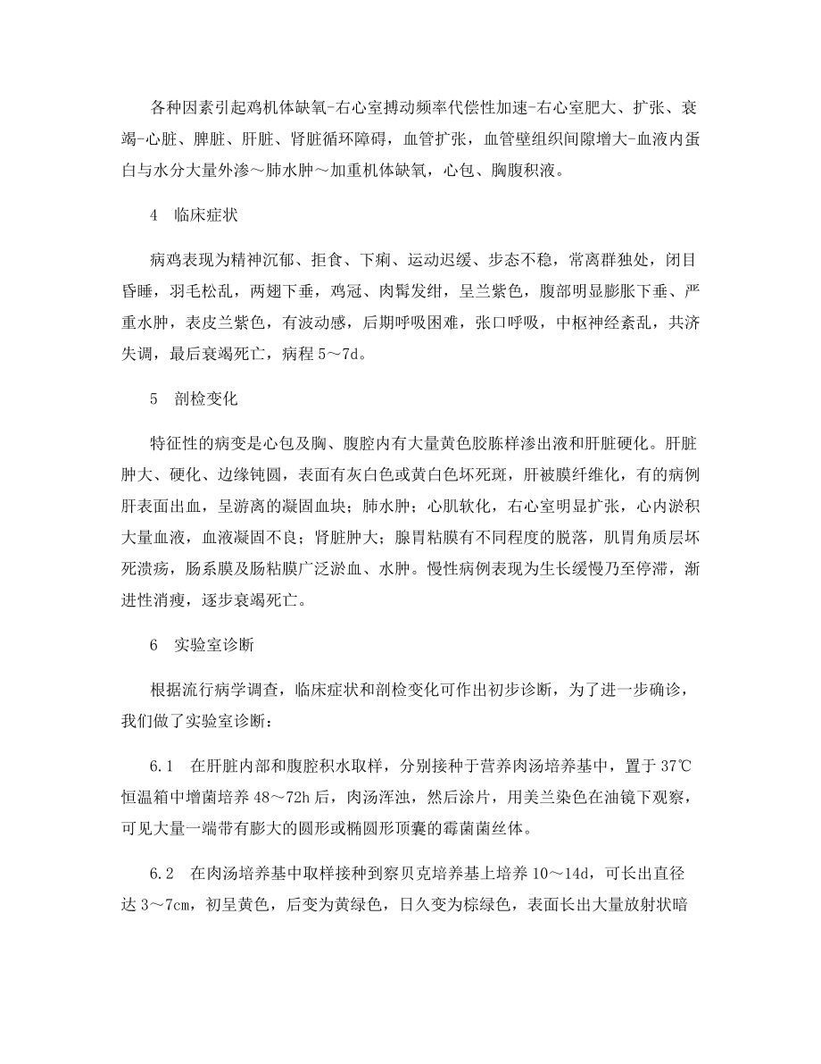 黄曲霉引发的肉鸡腹水综合症.docx_第2页