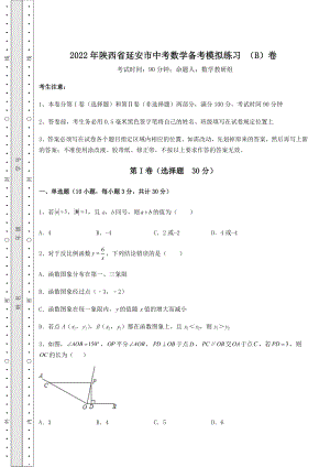 模拟真题：2022年陕西省延安市中考数学备考模拟练习-(B)卷(精选).docx