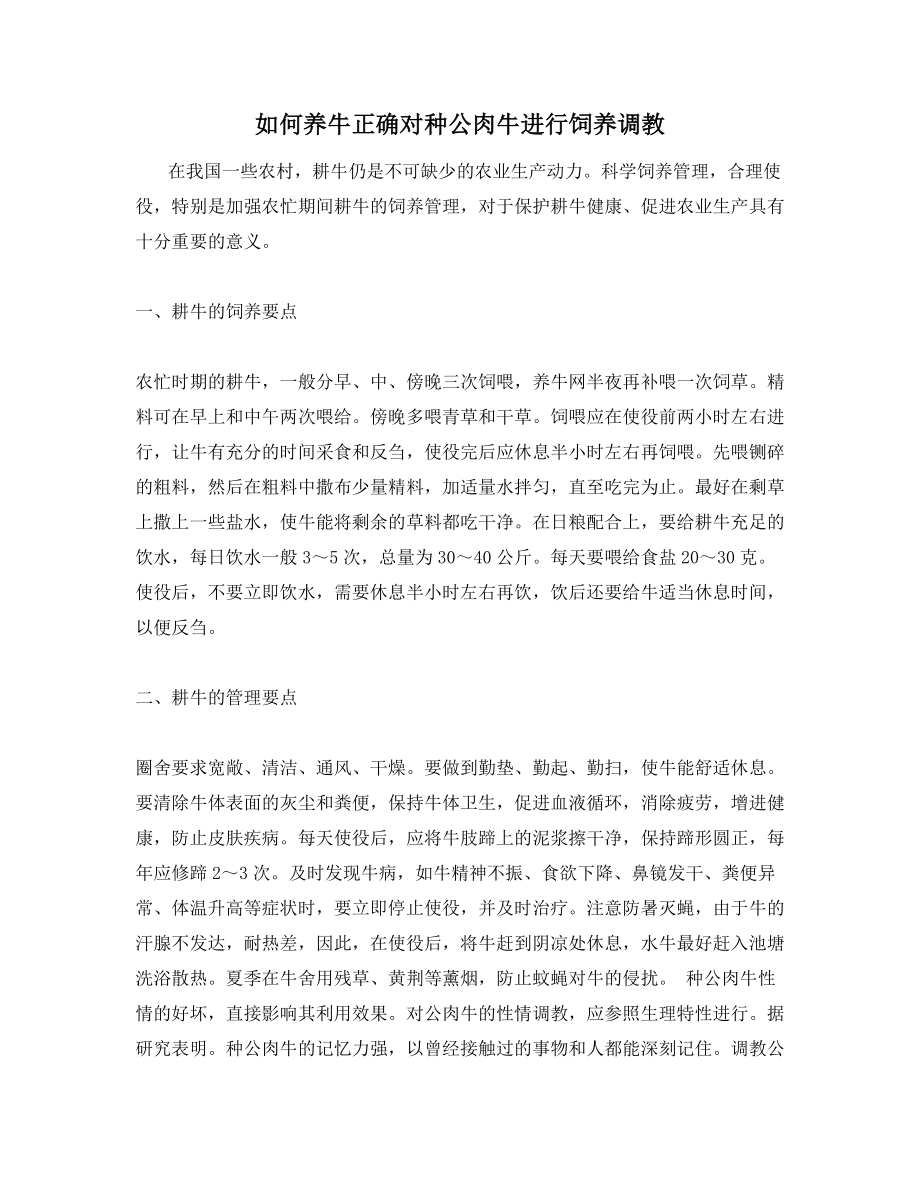 如何养牛正确对种公肉牛进行饲养调教.docx_第1页