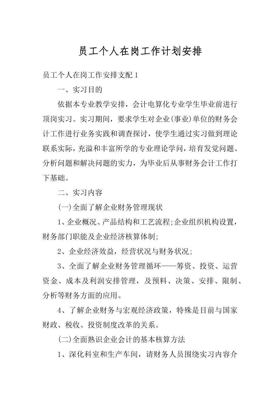 员工个人在岗工作计划安排汇总.docx_第1页