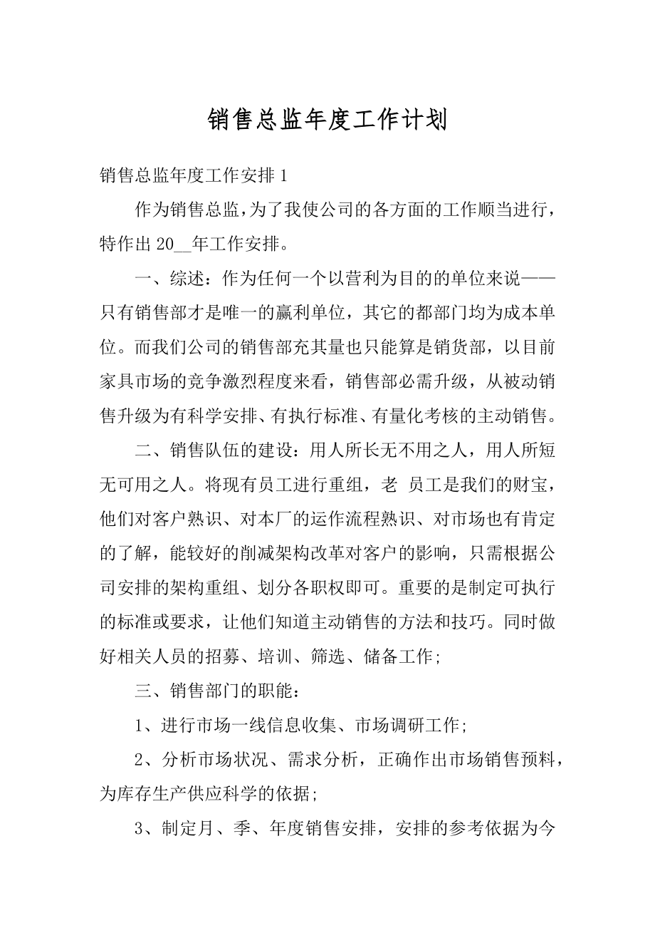 销售总监年度工作计划例文.docx_第1页