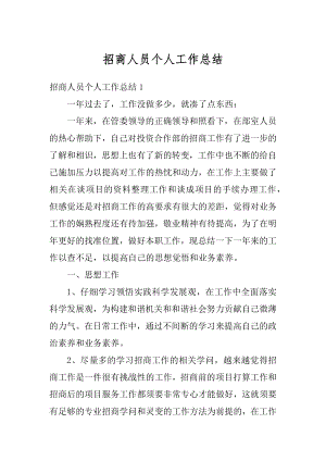 招商人员个人工作总结汇总.docx