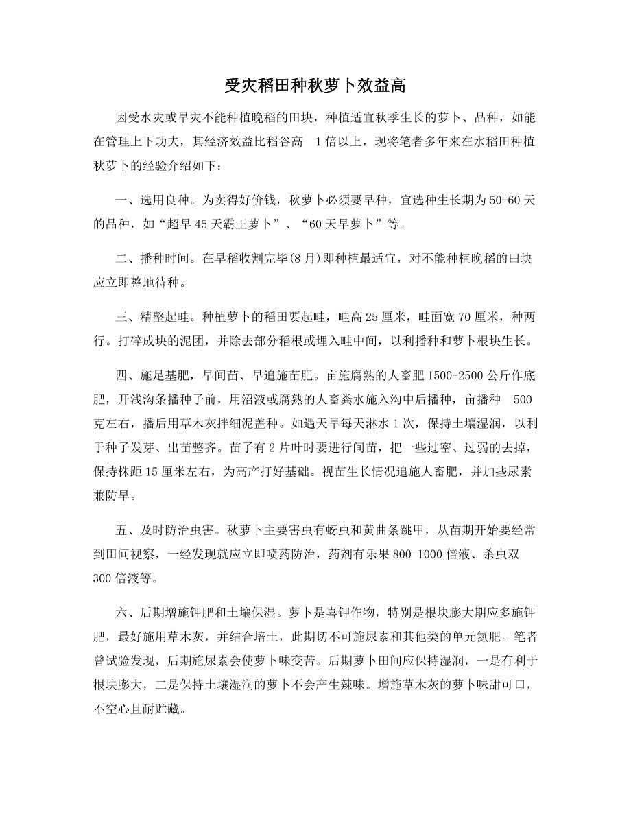 受灾稻田种秋萝卜效益高.docx_第1页