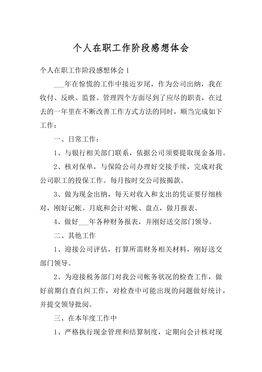 个人在职工作阶段感想体会优质.docx_第1页