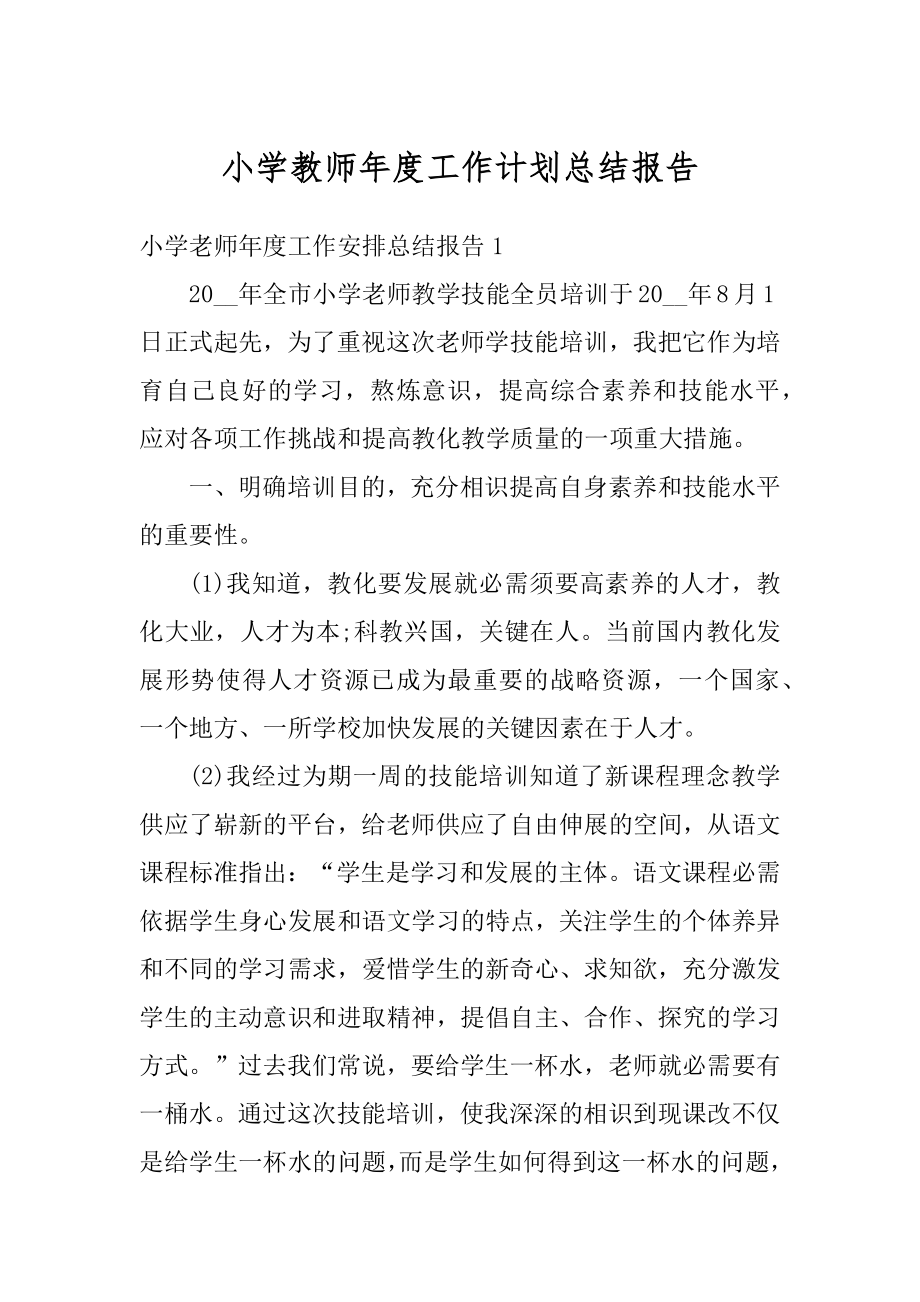 小学教师年度工作计划总结报告范例.docx_第1页