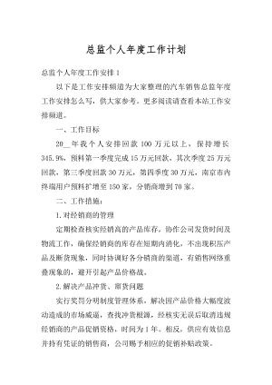 总监个人年度工作计划汇总.docx