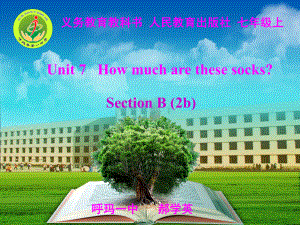 郝学英Howmucharethesesocks课件.ppt