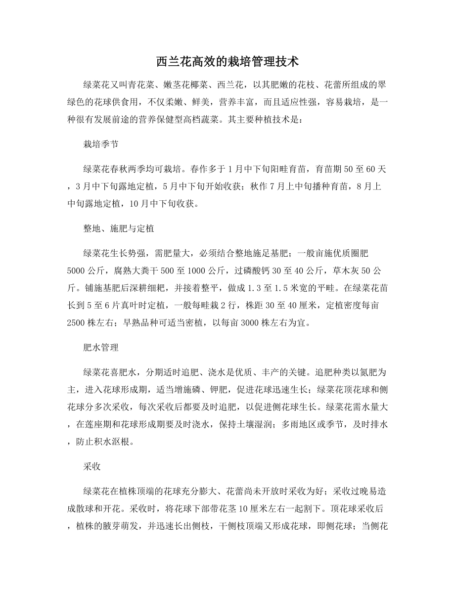 西兰花高效的栽培管理技术.docx_第1页