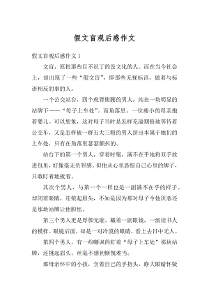 假文盲观后感作文汇编.docx