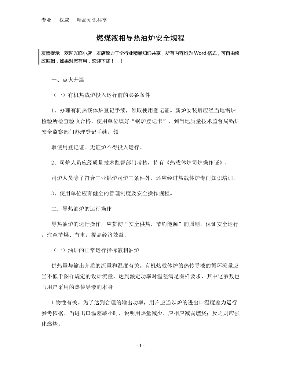 燃煤液相导热油炉安全规程.docx_第1页