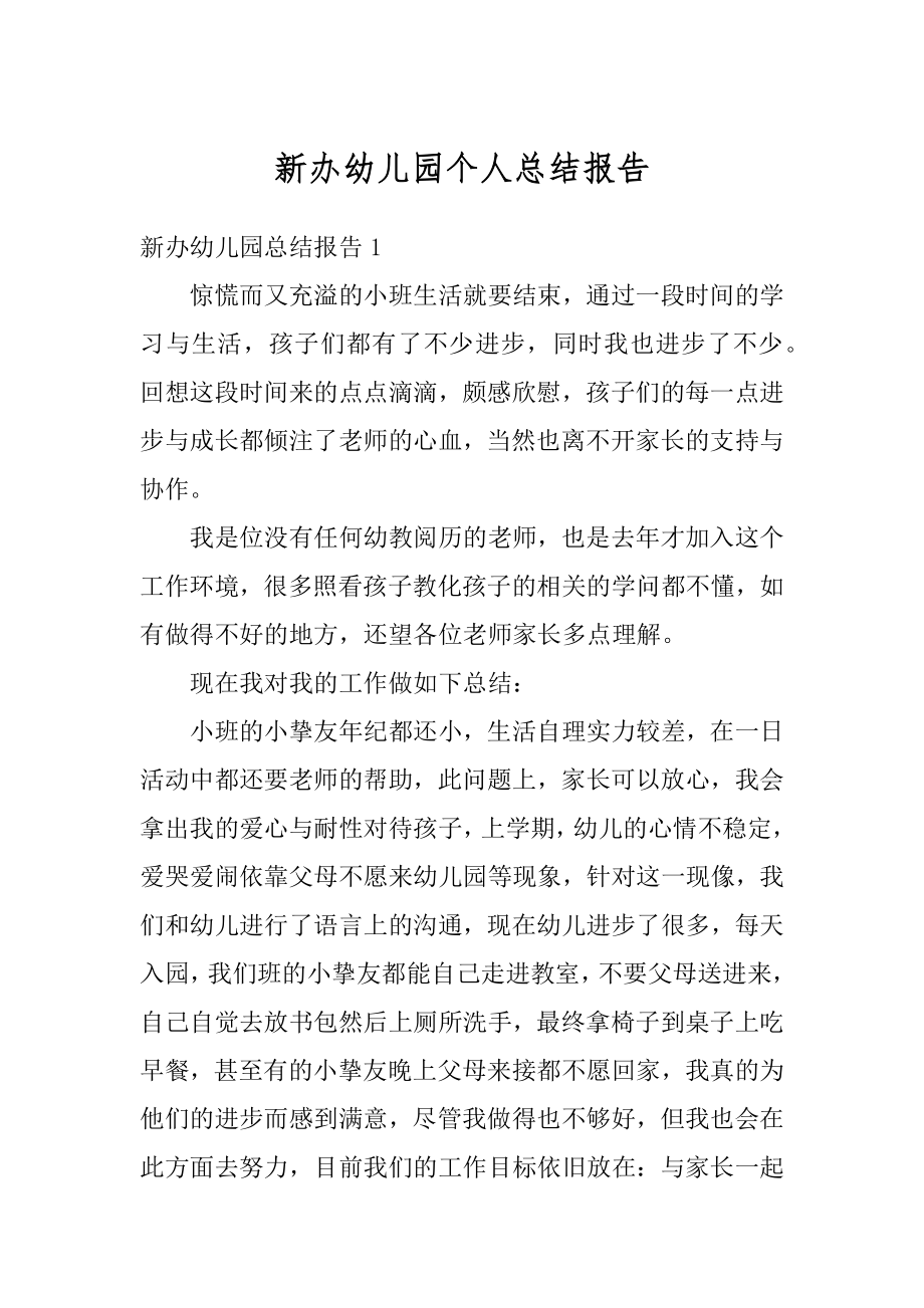 新办幼儿园个人总结报告精编.docx_第1页