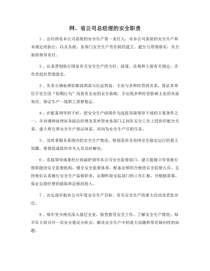 网、省公司总经理的安全职责.docx