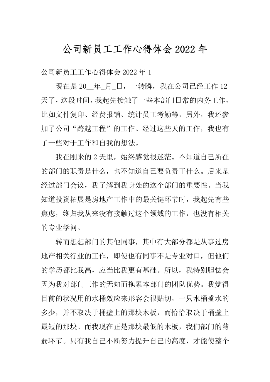 公司新员工工作心得体会2022年范本.docx_第1页