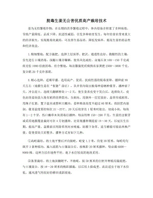 脱毒生姜无公害优质高产栽培技术.docx