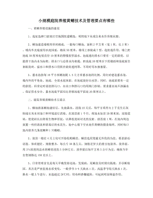 小规模庭院养殖黄鳝技术及管理要点有哪些.docx