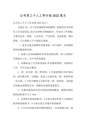 公司员工个人工作计划2022范文精编.docx