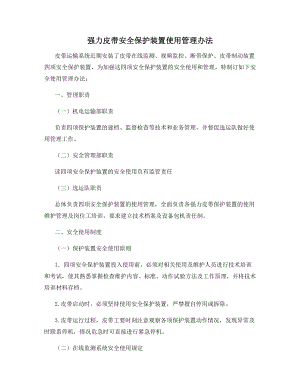 强力皮带安全保护装置使用管理办法.docx