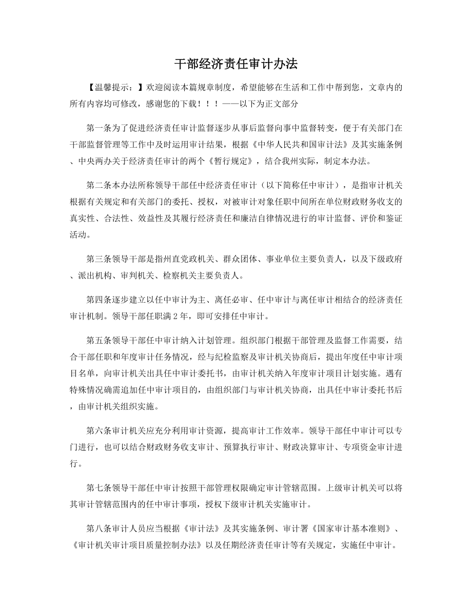 干部经济责任审计办法精选.docx_第1页