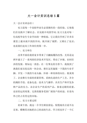 大一会计实训总结5篇精编.docx