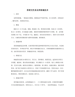 茶树无性系良种移栽技术.docx