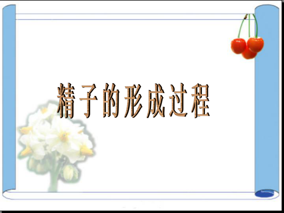 精子的形成过程 (2).ppt_第1页