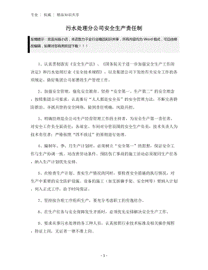 污水处理分公司安全生产责任制.docx