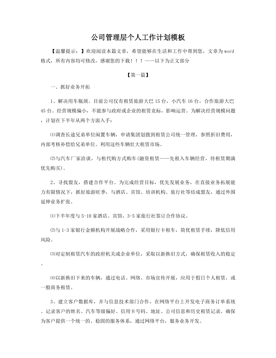 公司管理层个人工作计划模板精选.docx_第1页