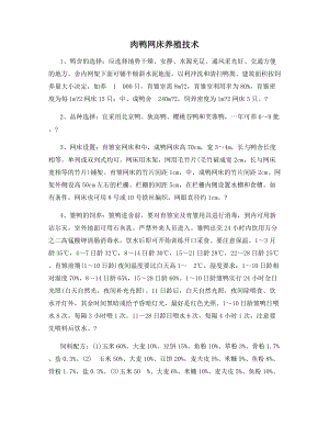 肉鸭网床养殖技术.docx