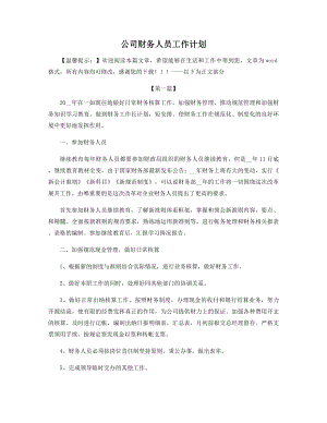 公司财务人员工作计划精选.docx