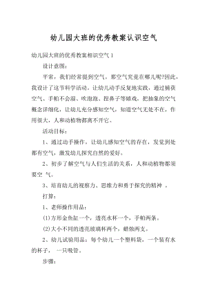 幼儿园大班的优秀教案认识空气精品.docx