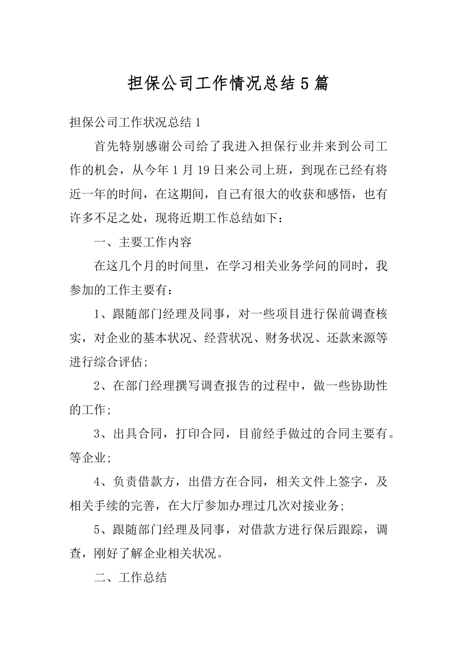 担保公司工作情况总结5篇最新.docx_第1页