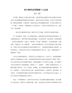 初中教师试用期满个人总结.docx