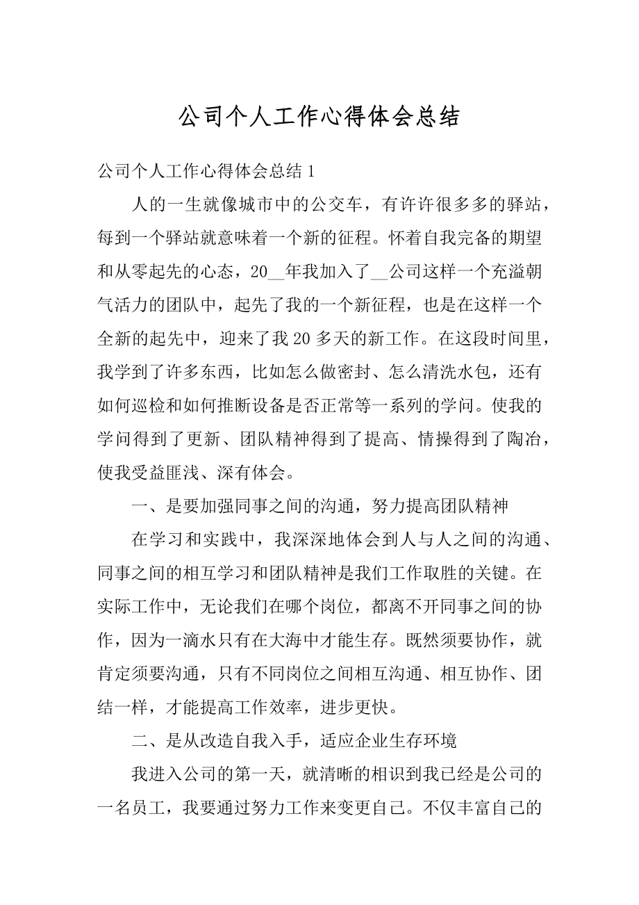 公司个人工作心得体会总结优质.docx_第1页