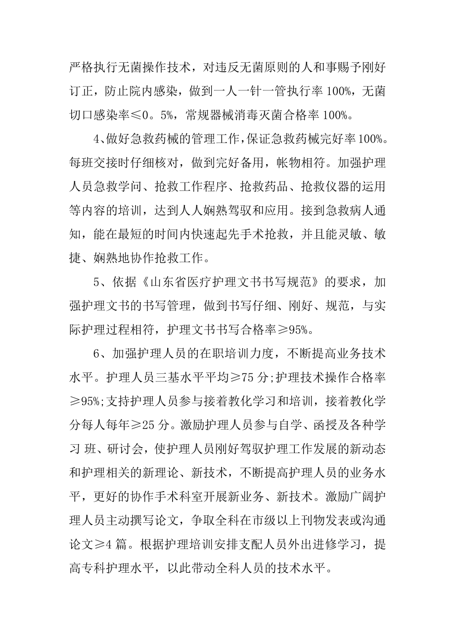 护理年度工作计划范例最新.docx_第2页