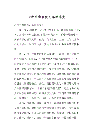 大学生寒假实习总结范文汇总.docx