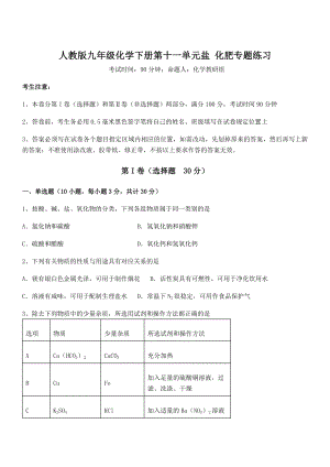 精品解析2022年人教版九年级化学下册第十一单元盐-化肥专题练习练习题(含详解).docx