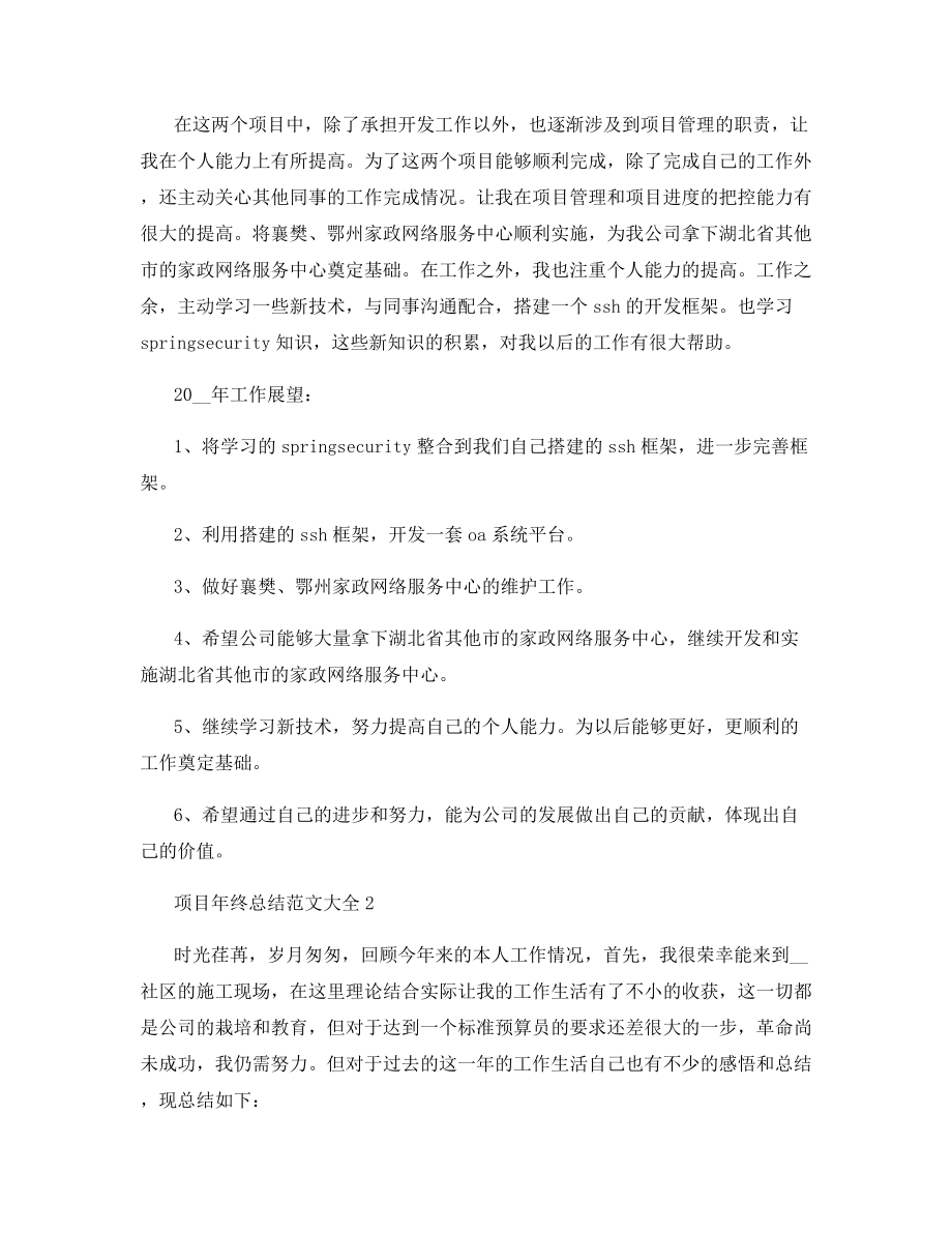 项目年终总结范文大全.docx_第2页