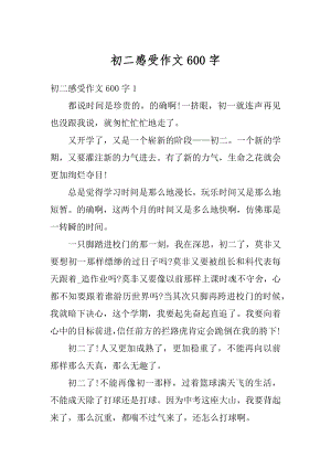 初二感受作文600字范文.docx