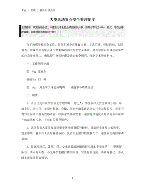 大型活动集会安全管理制度.docx