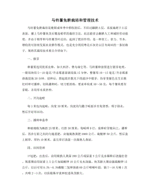 马铃薯免耕栽培和管理技术.docx